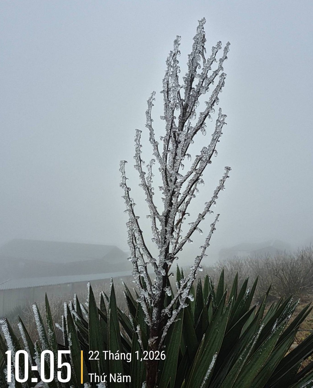 Mẫu Sơn - Ảnh 2.