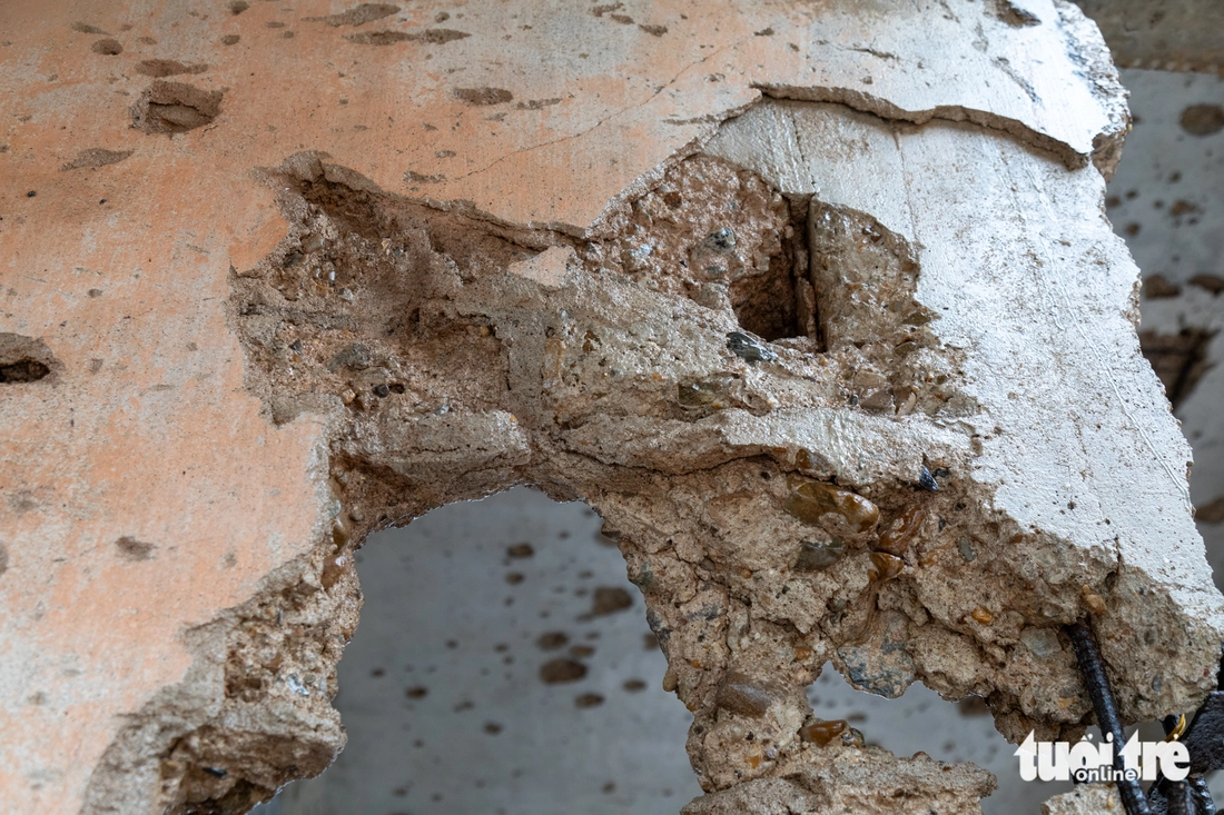 trường bồ đề - Ảnh 4.