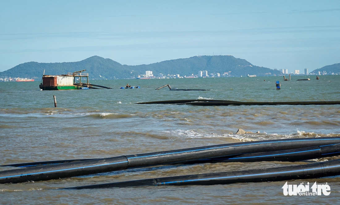 Cần Giờ - Ảnh 20.