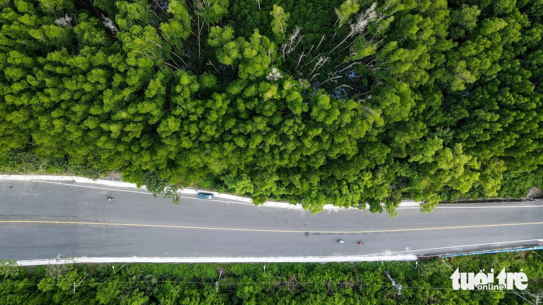 Cần Giờ - Ảnh 21.