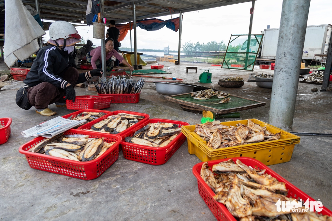 nghề biển - Ảnh 6.