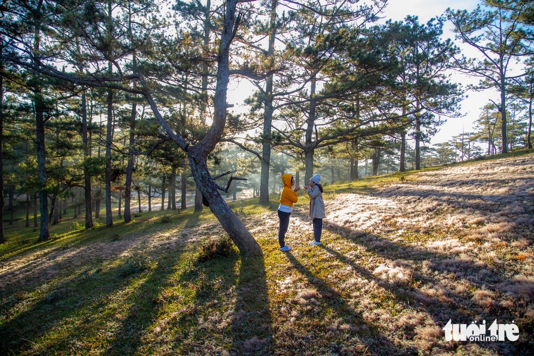 đà lạt - Ảnh 2.