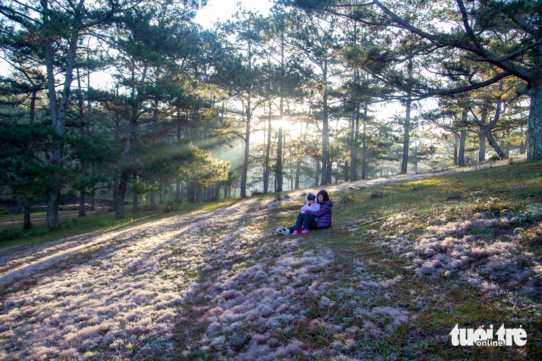 đà lạt - Ảnh 3.