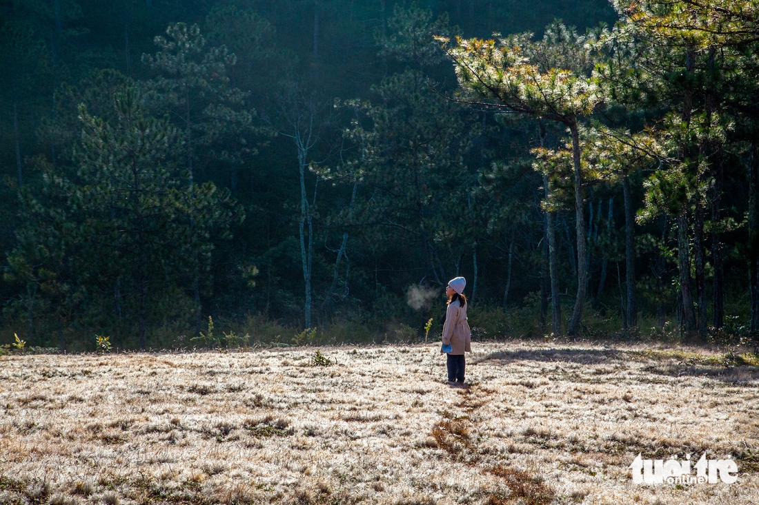 đà lạt - Ảnh 6.