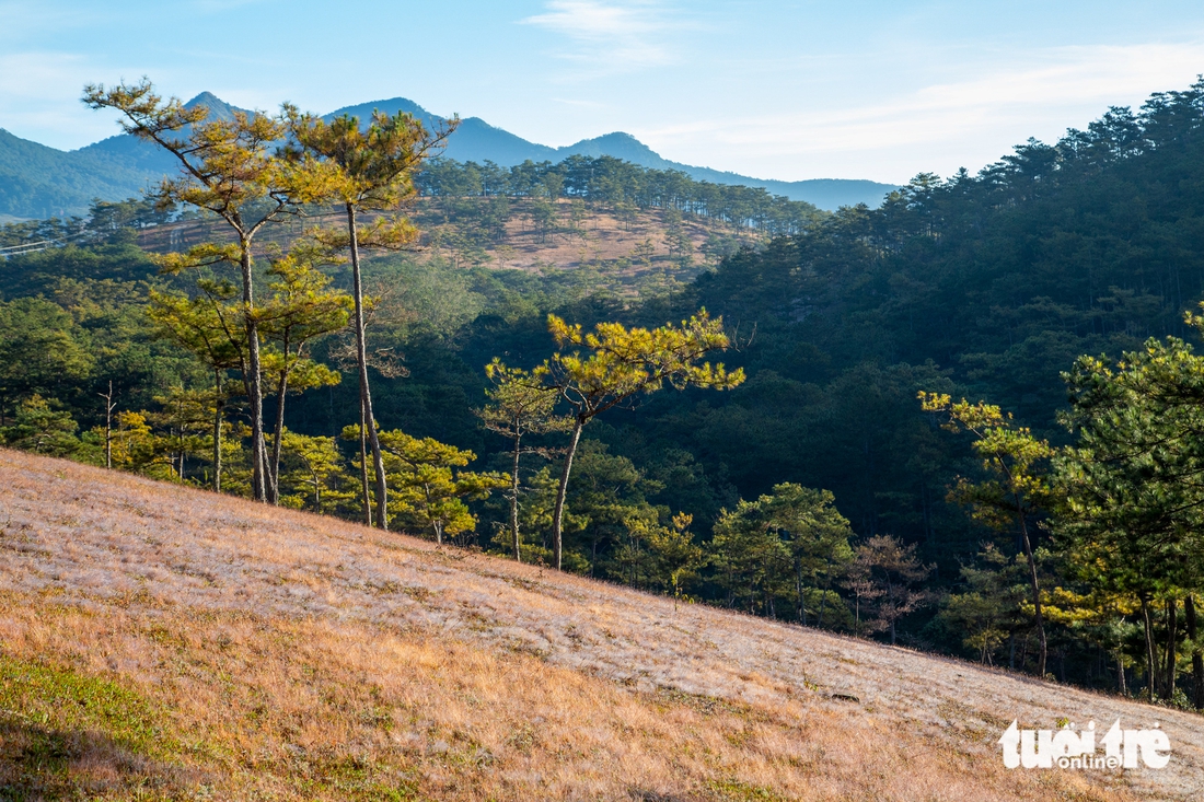 đà lạt - Ảnh 7.