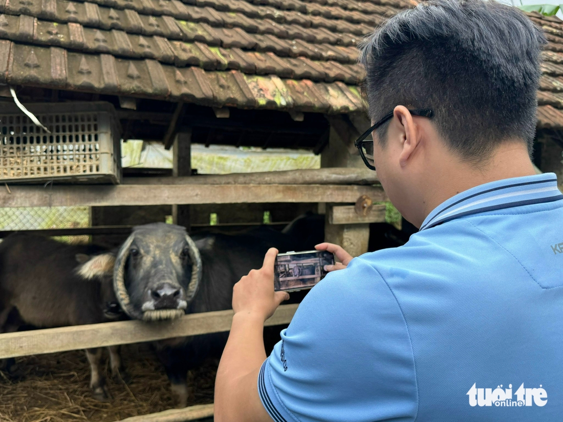 con trâu - Ảnh 8.