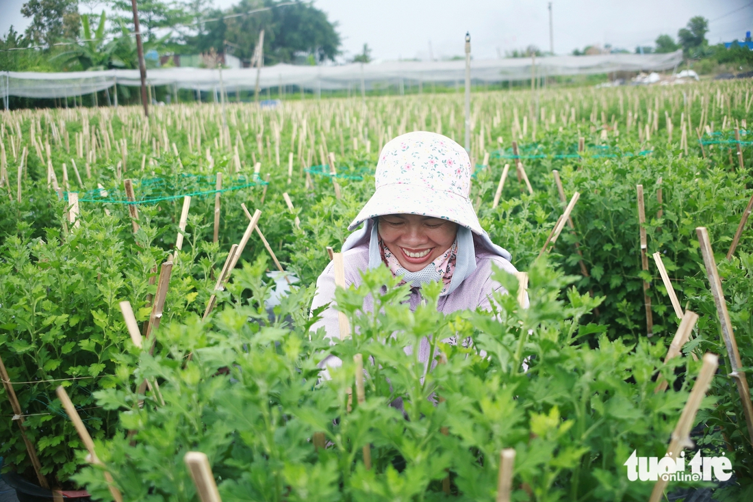 Hoa Tết - Ảnh 5.