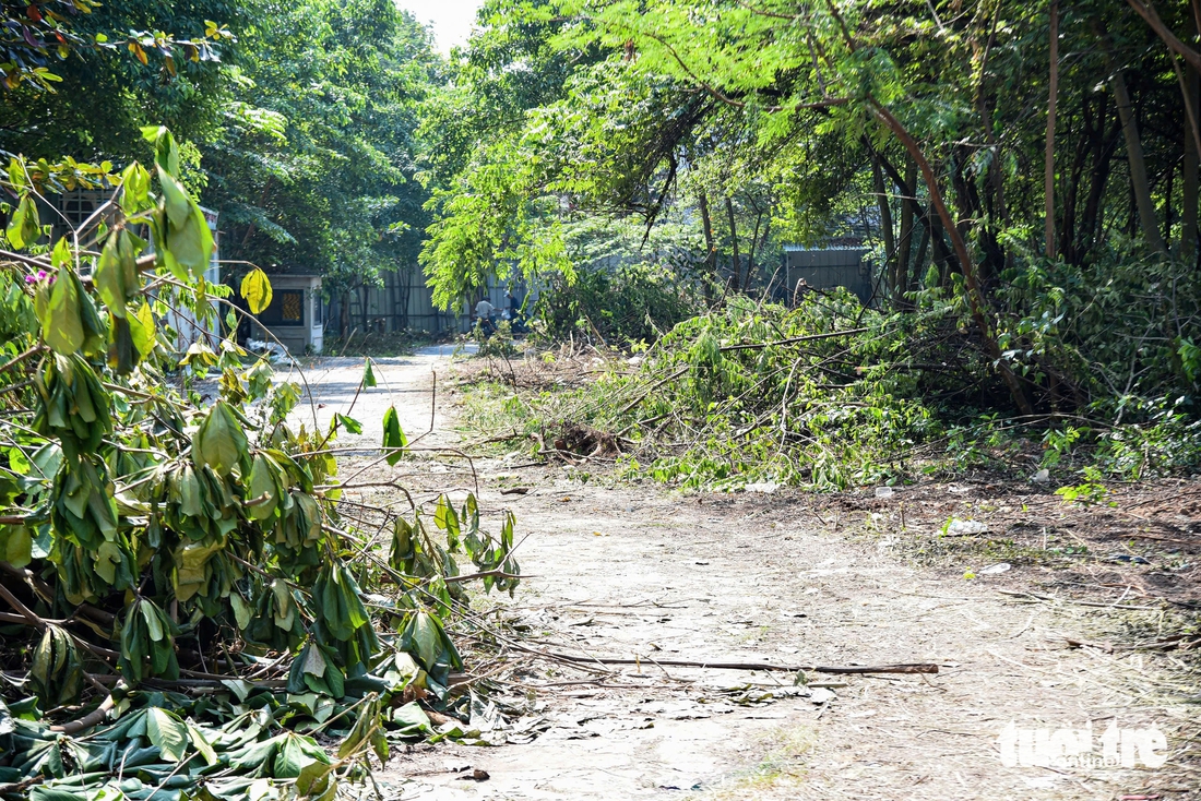 Toàn cảnh 9 khu ‘đất vàng’ trung tâm TP.HCM đang chờ trở thành công viên, vườn hoa Tết - Ảnh 13.