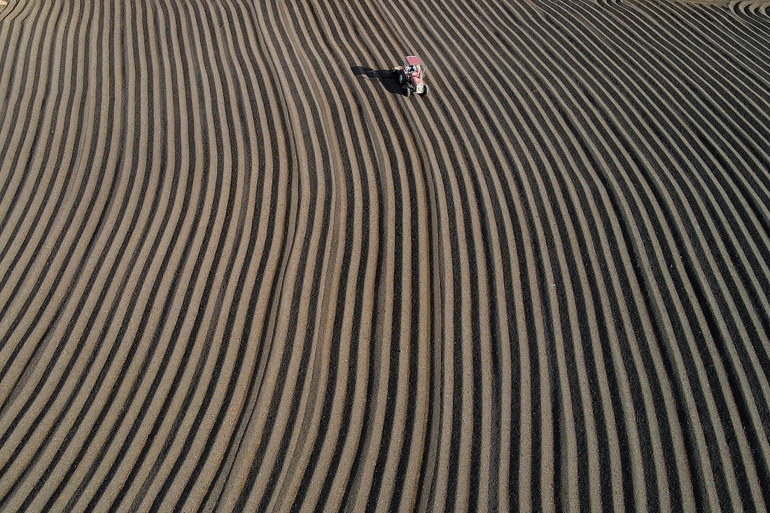 cà phê - Ảnh 11.