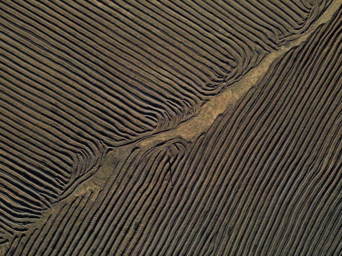 cà phê - Ảnh 6.