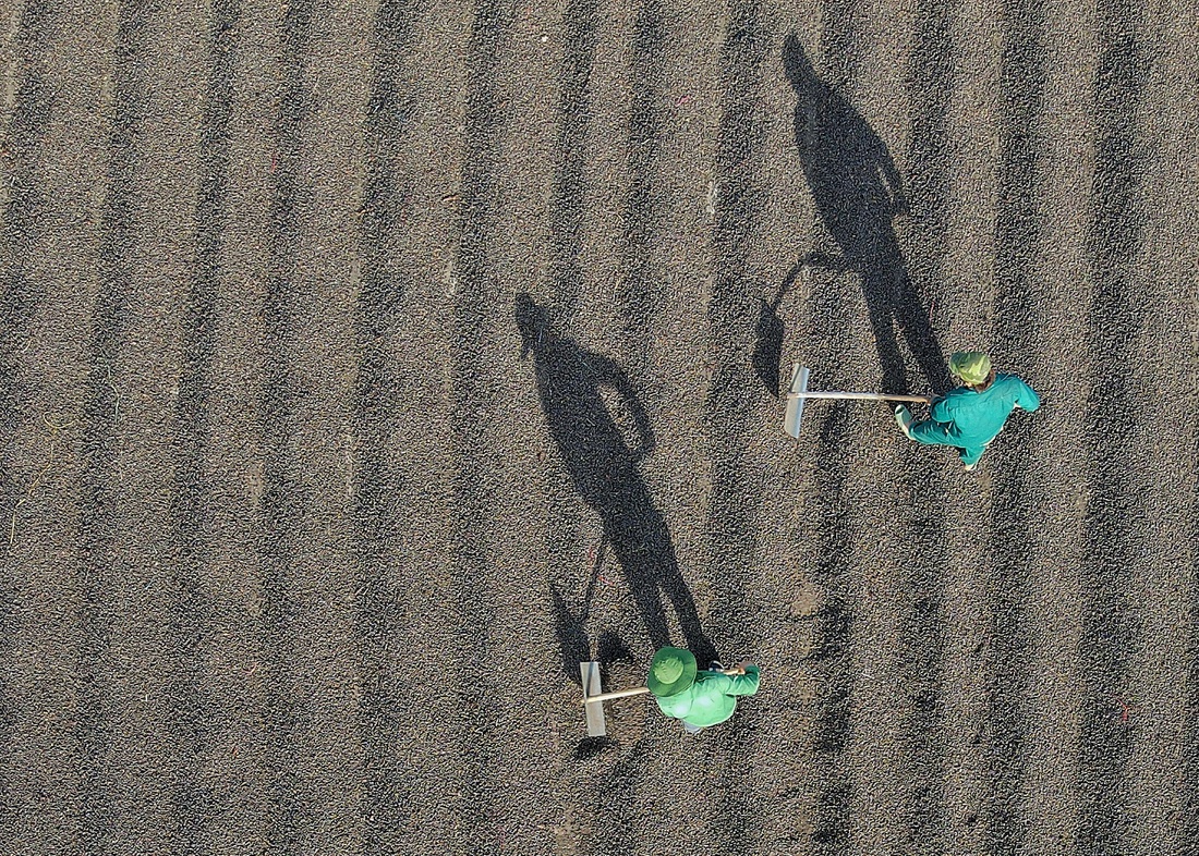 cà phê - Ảnh 2.