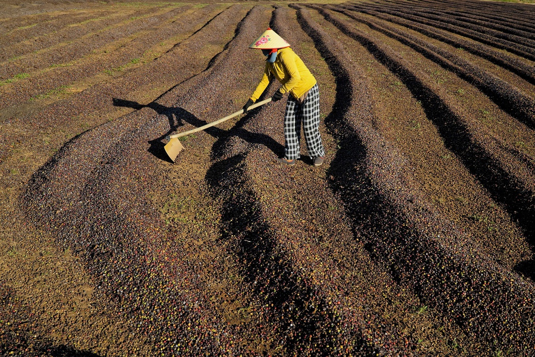 cà phê - Ảnh 8.