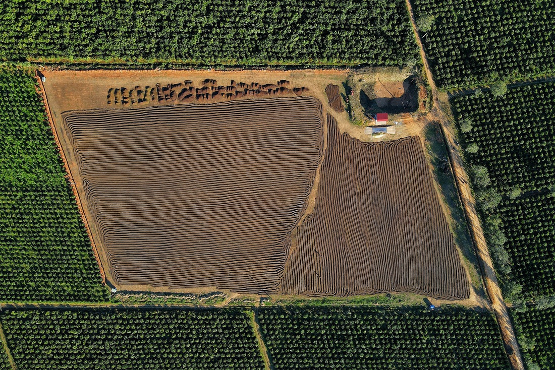 cà phê - Ảnh 5.