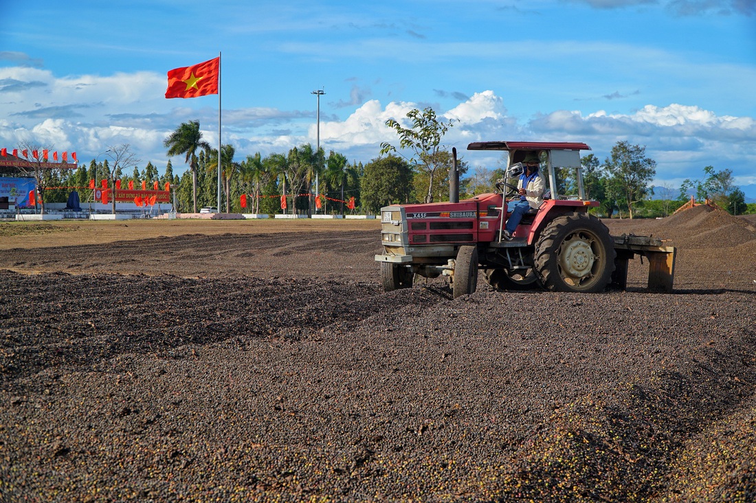 Đẹp hút mắt, mùa phơi cà phê 'phủ nâu' Tây Nguyên đại ngàn - Ảnh 4.