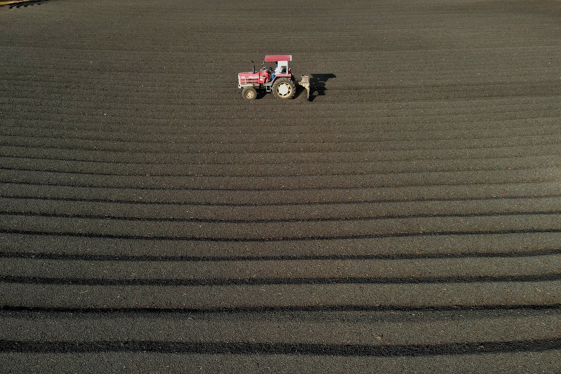 cà phê - Ảnh 1.