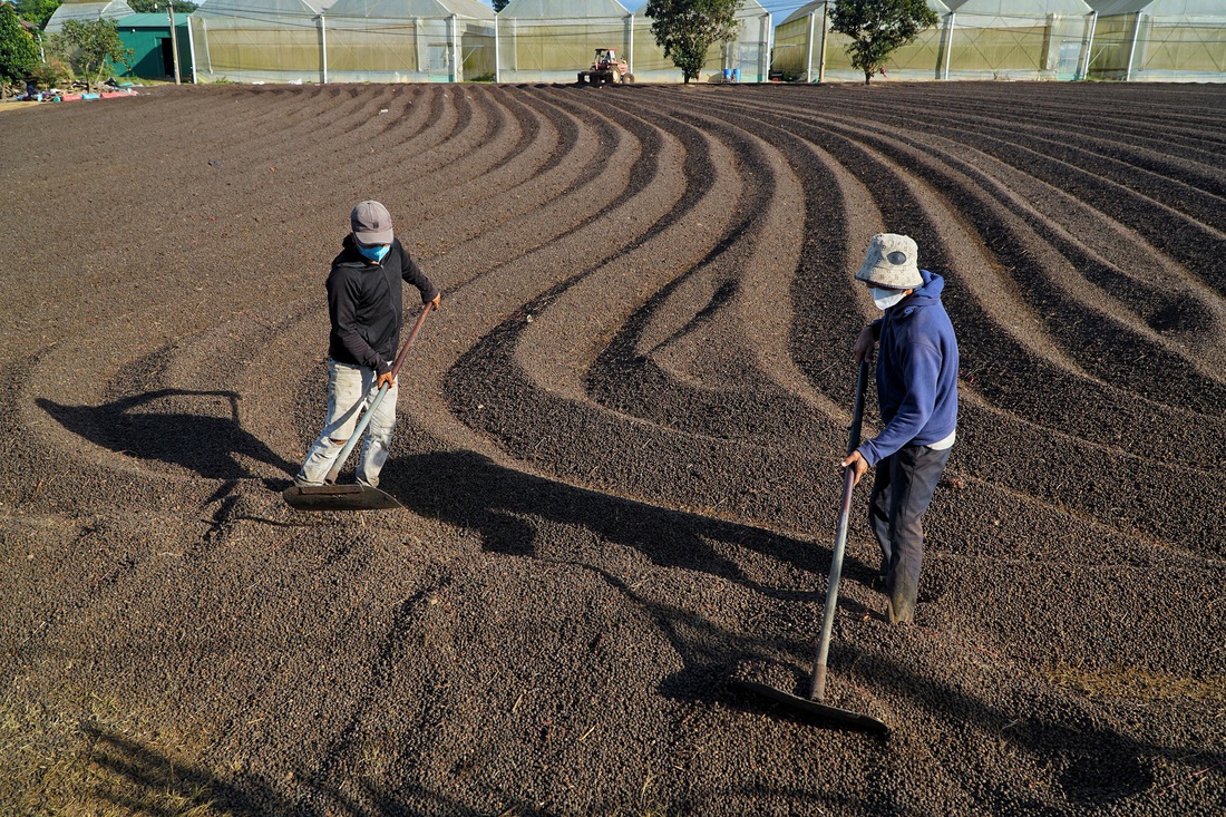 cà phê - Ảnh 4.