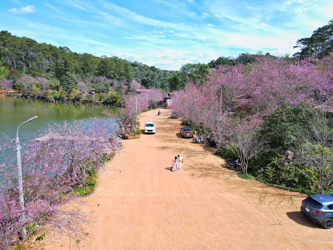 măng đen - Ảnh 10.