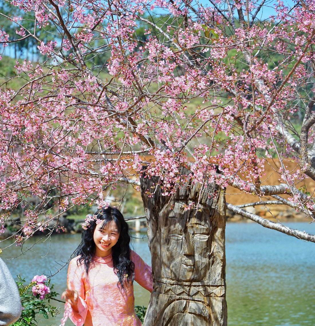 măng đen - Ảnh 11.