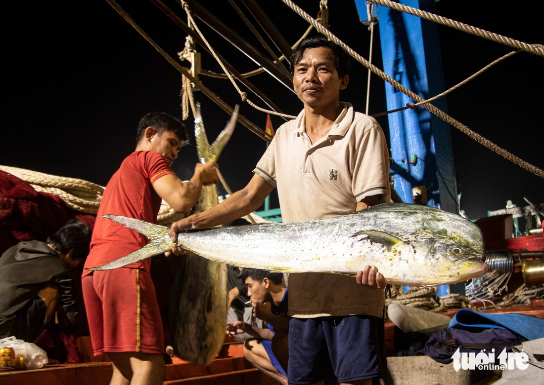 Những mẻ 'cá vàng' cuối năm tại cảng cá lớn nhất miền Trung - Ảnh 3.
