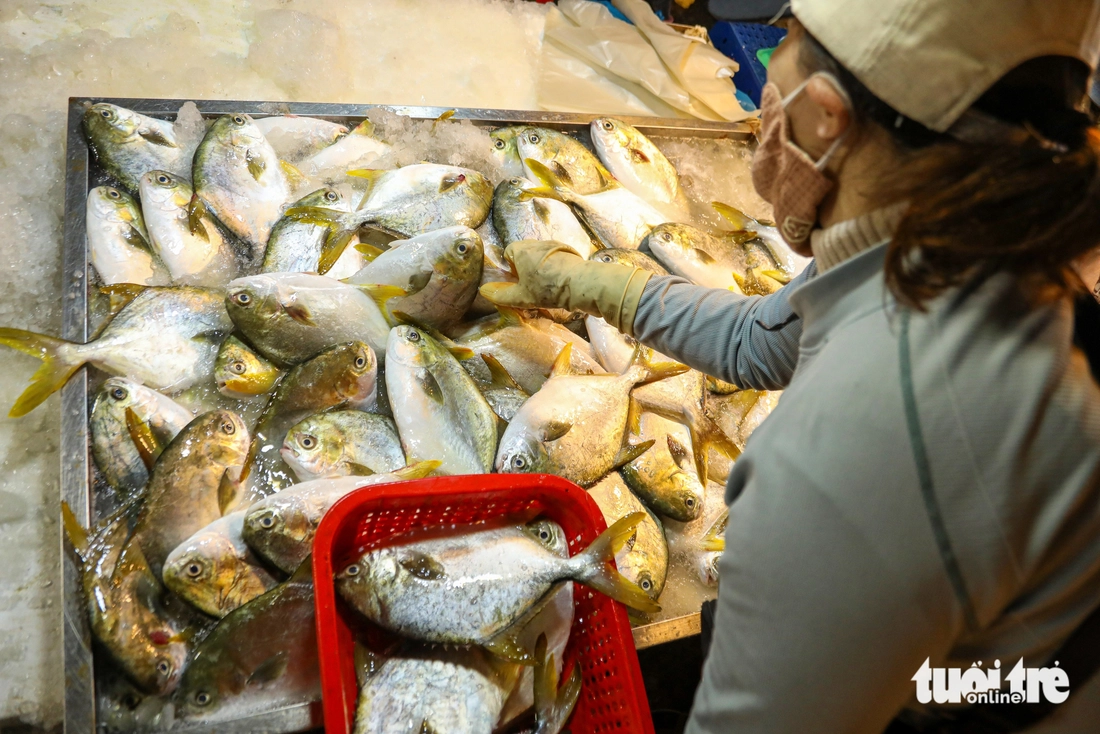 Những mẻ 'cá vàng' cuối năm tại cảng cá lớn nhất miền Trung - Ảnh 5.