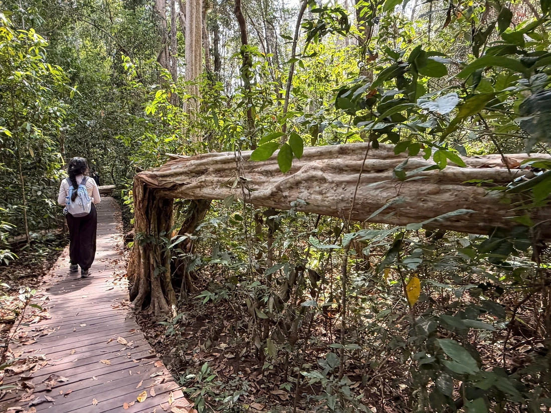 cát tiên - Ảnh 2.