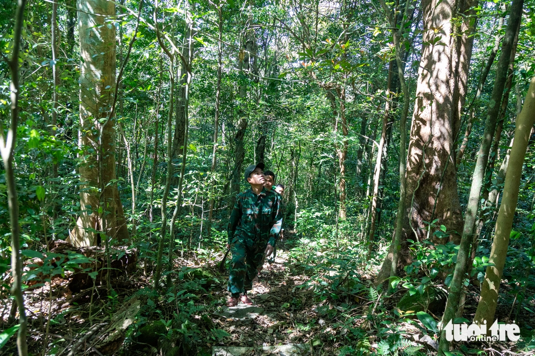 Những người thầm lặng 'ăn Tết rừng' để bảo vệ màu xanh nơi biên viễn - Ảnh 3.