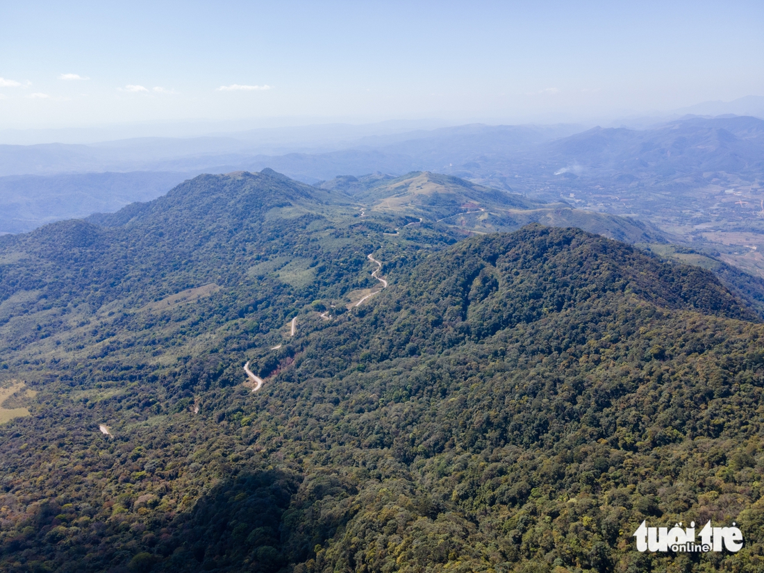 Những người thầm lặng 'ăn Tết rừng' để bảo vệ màu xanh nơi biên viễn - Ảnh 6.