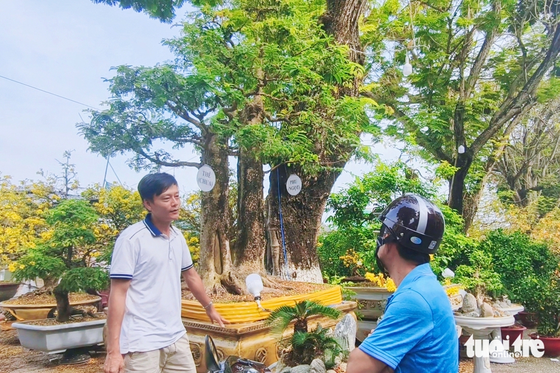 Long Xuyên - Ảnh 7.