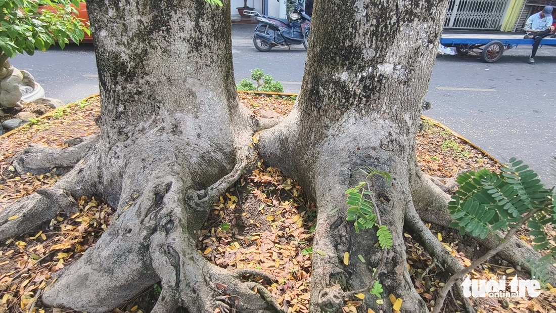 Long Xuyên - Ảnh 3.