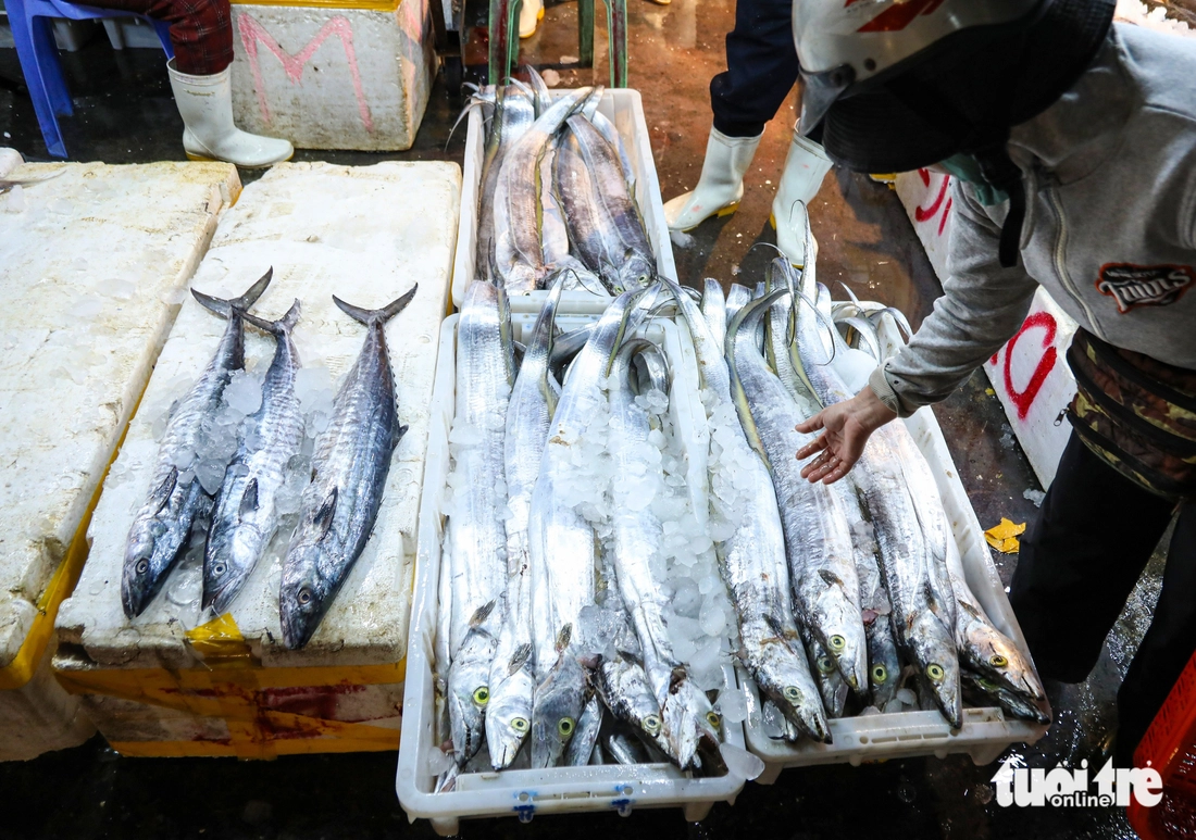 cá thu - Ảnh 5.