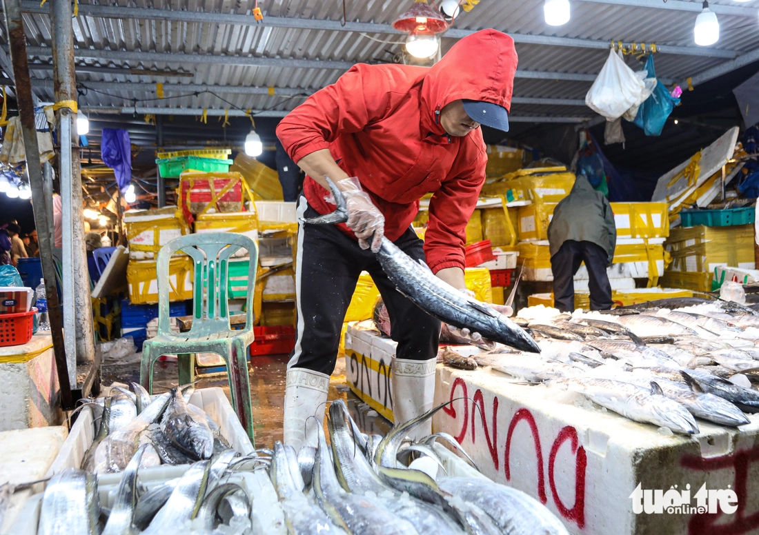 Thị trường cá thu ở Đà Nẵng nhộn nhịp trước Tết, giá thế nào? - Ảnh 6.