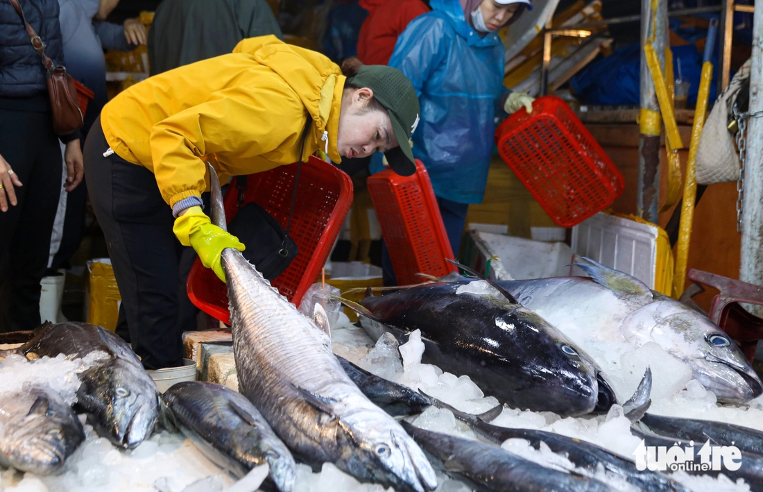 Thị trường cá thu ở Đà Nẵng nhộn nhịp trước Tết, giá thế nào? - Ảnh 8.