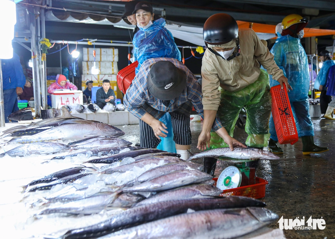 Thị trường cá thu ở Đà Nẵng nhộn nhịp trước Tết, giá thế nào? - Ảnh 9.