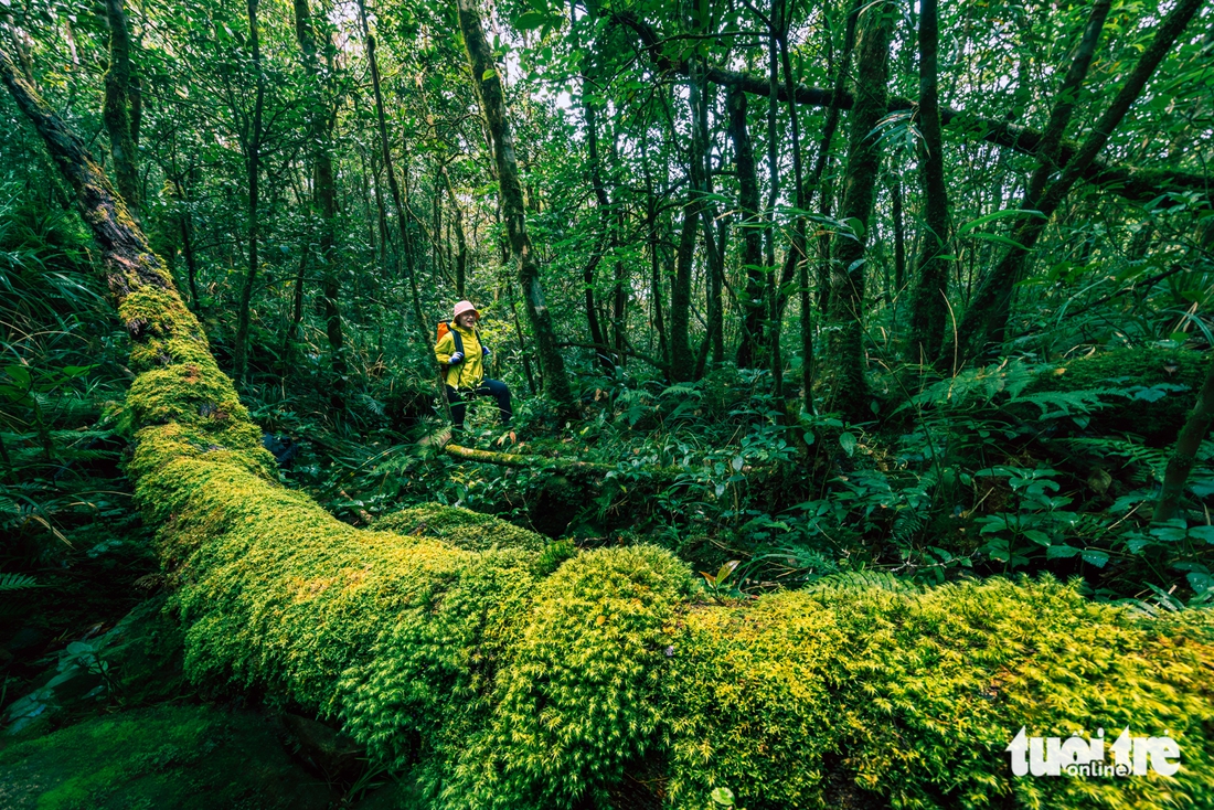 Pa Thiên - Ảnh 2.