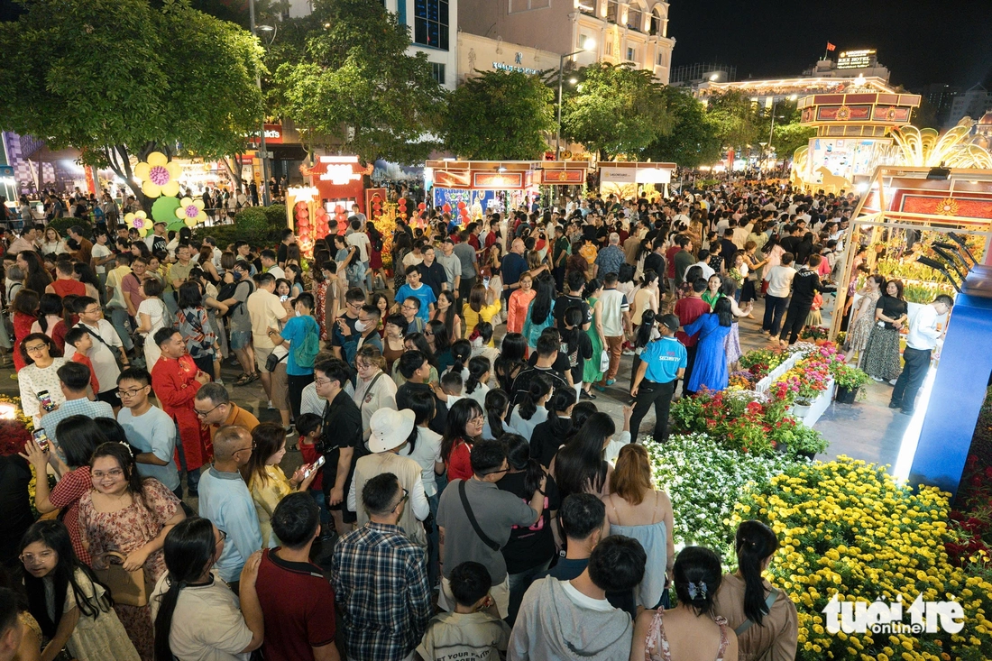 đường hoa Nguyễn Huệ - Ảnh 11.