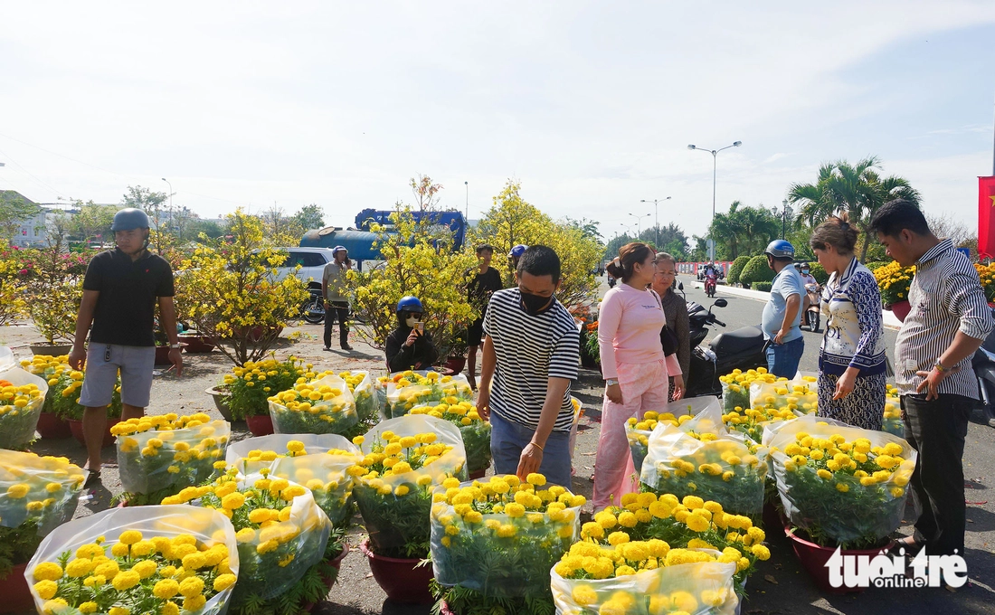 chợ hoa xuân - Ảnh 3.