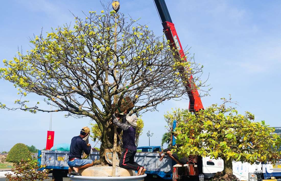 chợ hoa xuân - Ảnh 6.