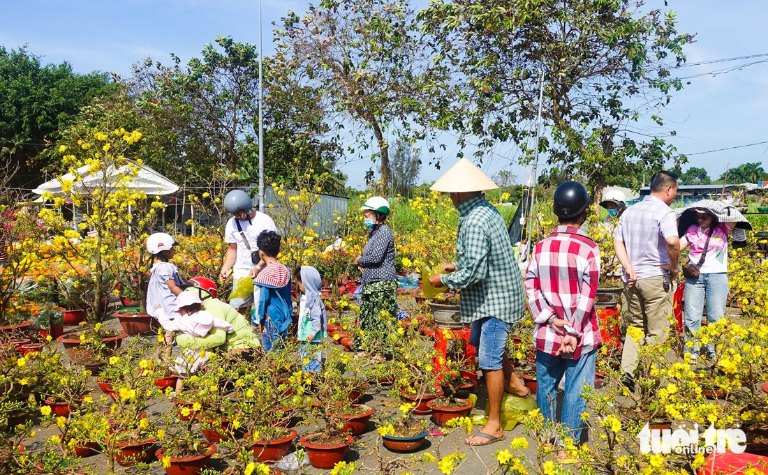 chợ hoa xuân - Ảnh 5.
