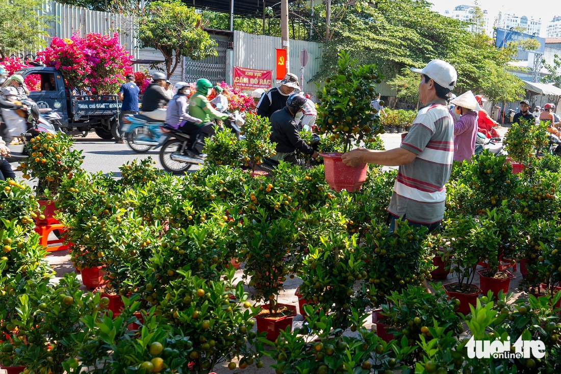 chợ hoa - Ảnh 3.