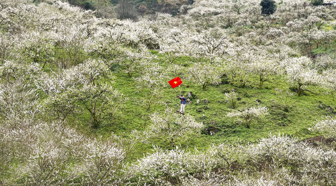 Mộc Châu - Ảnh 3.