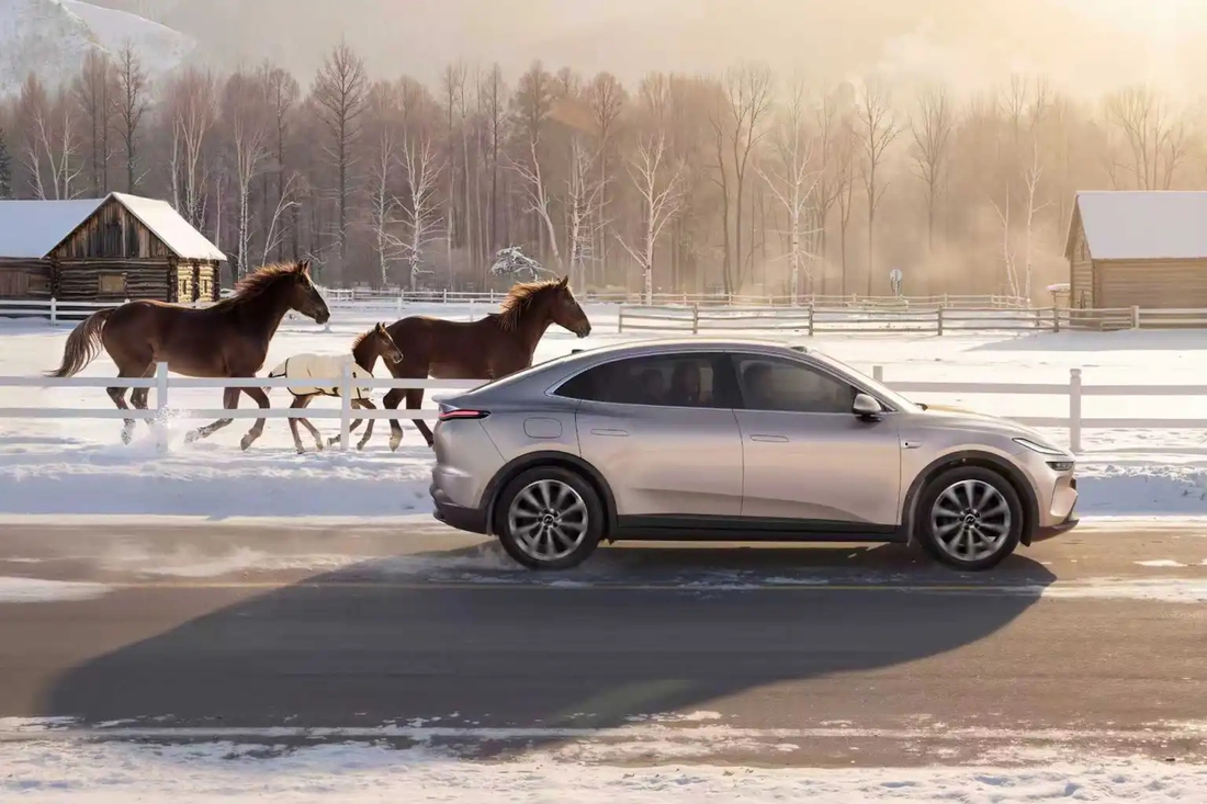 Tết Bính Ngọ - Ảnh 23.