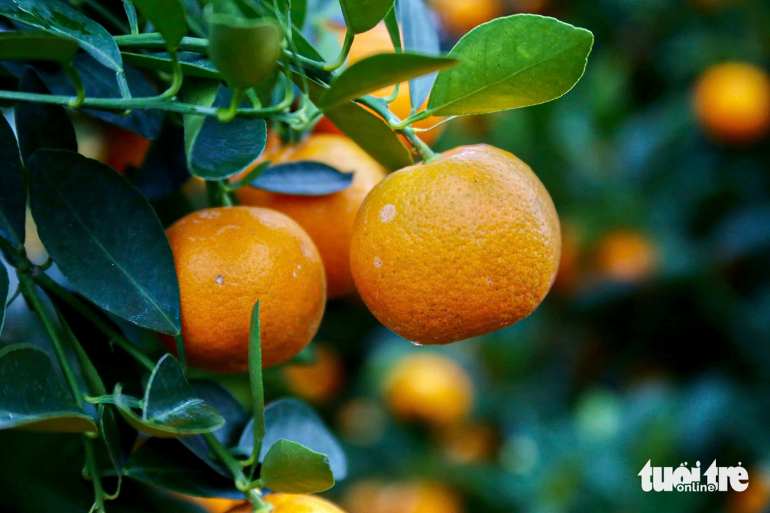 Đà Nẵng - Ảnh 3.