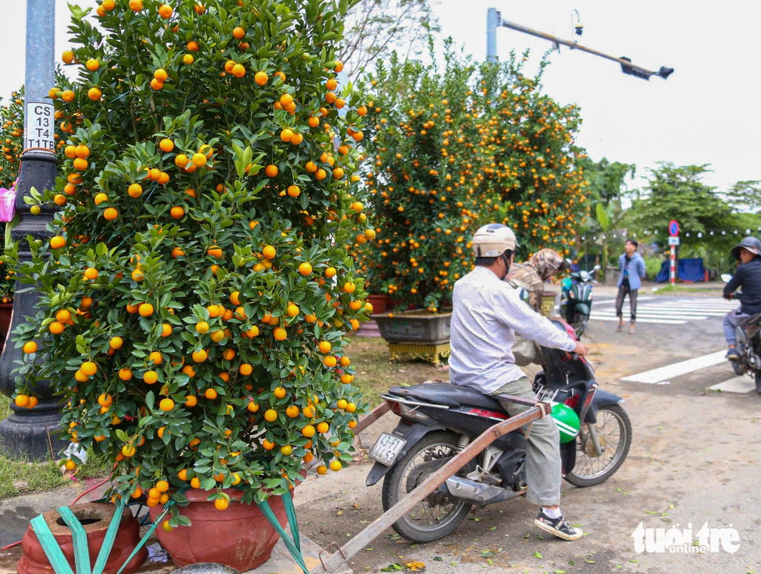 Đà Nẵng - Ảnh 7.
