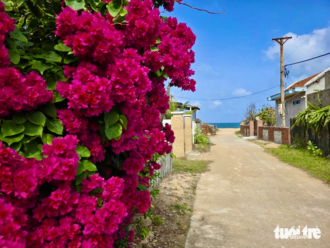 làng Lò - Ảnh 6.