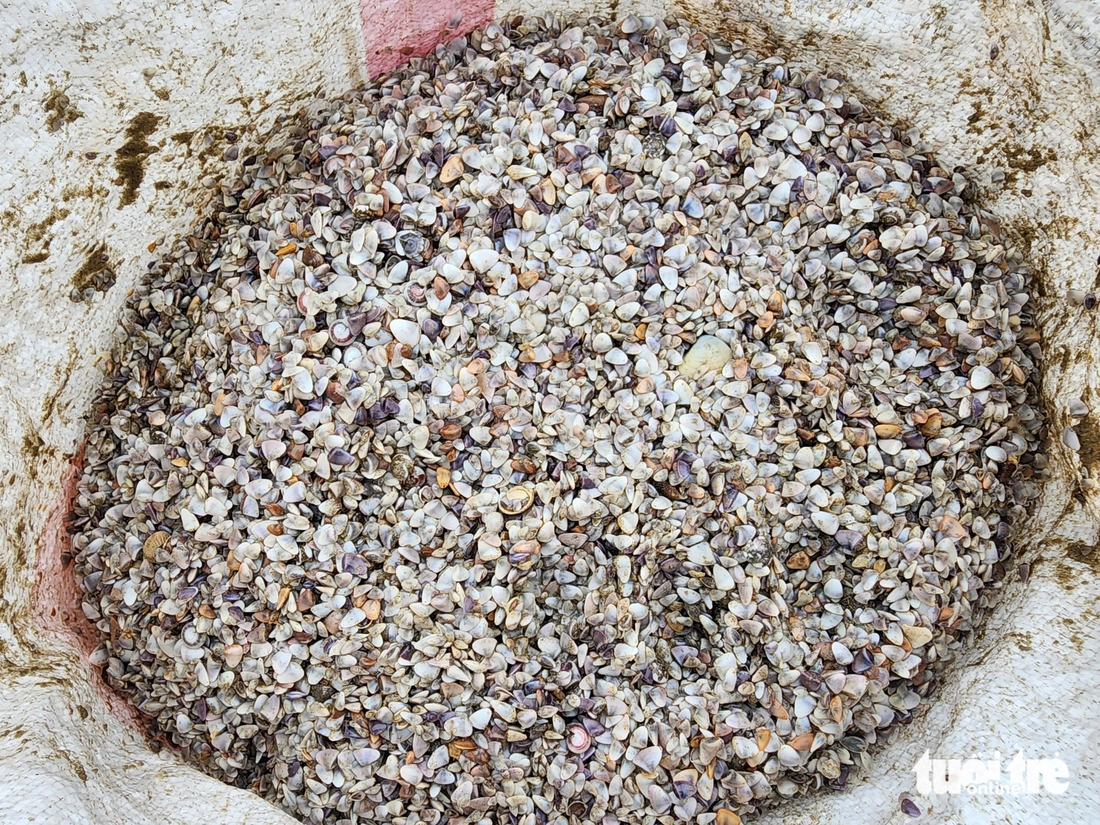 Người dân đua nhau cào ốc tép kiếm tiền triệu mỗi ngày dịp đầu năm - Ảnh 4.