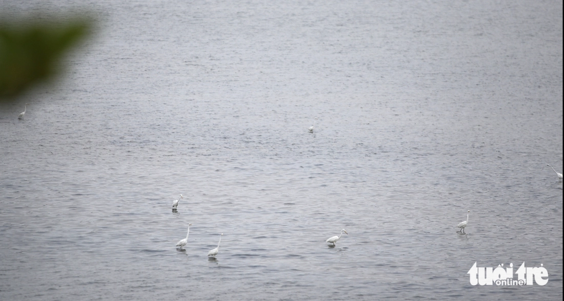 Đà Nẵng - Ảnh 4.