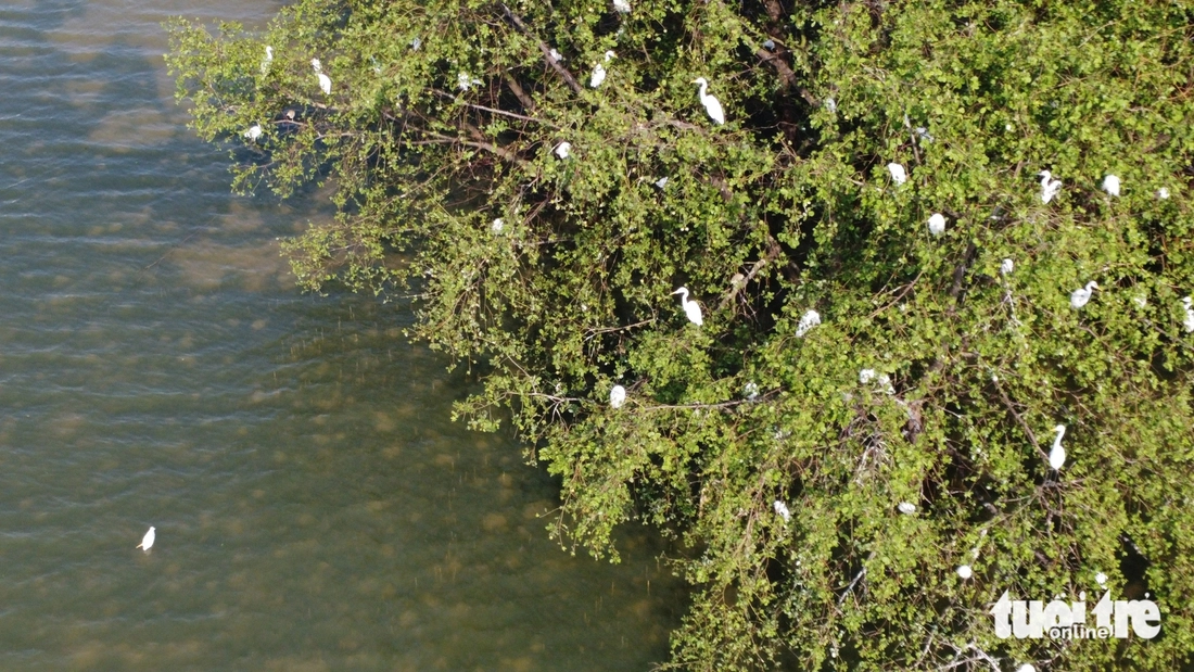 Đà Nẵng - Ảnh 11.