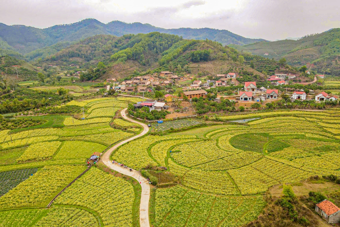 Bắc Hoa - Ảnh 7.