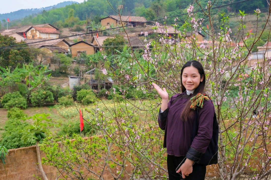 Bắc Hoa - Ảnh 8.