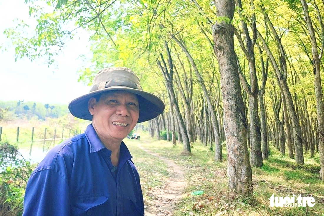 Du khách thích thú với vườn cao su đang thay lá ở TP.HCM - Ảnh 4.